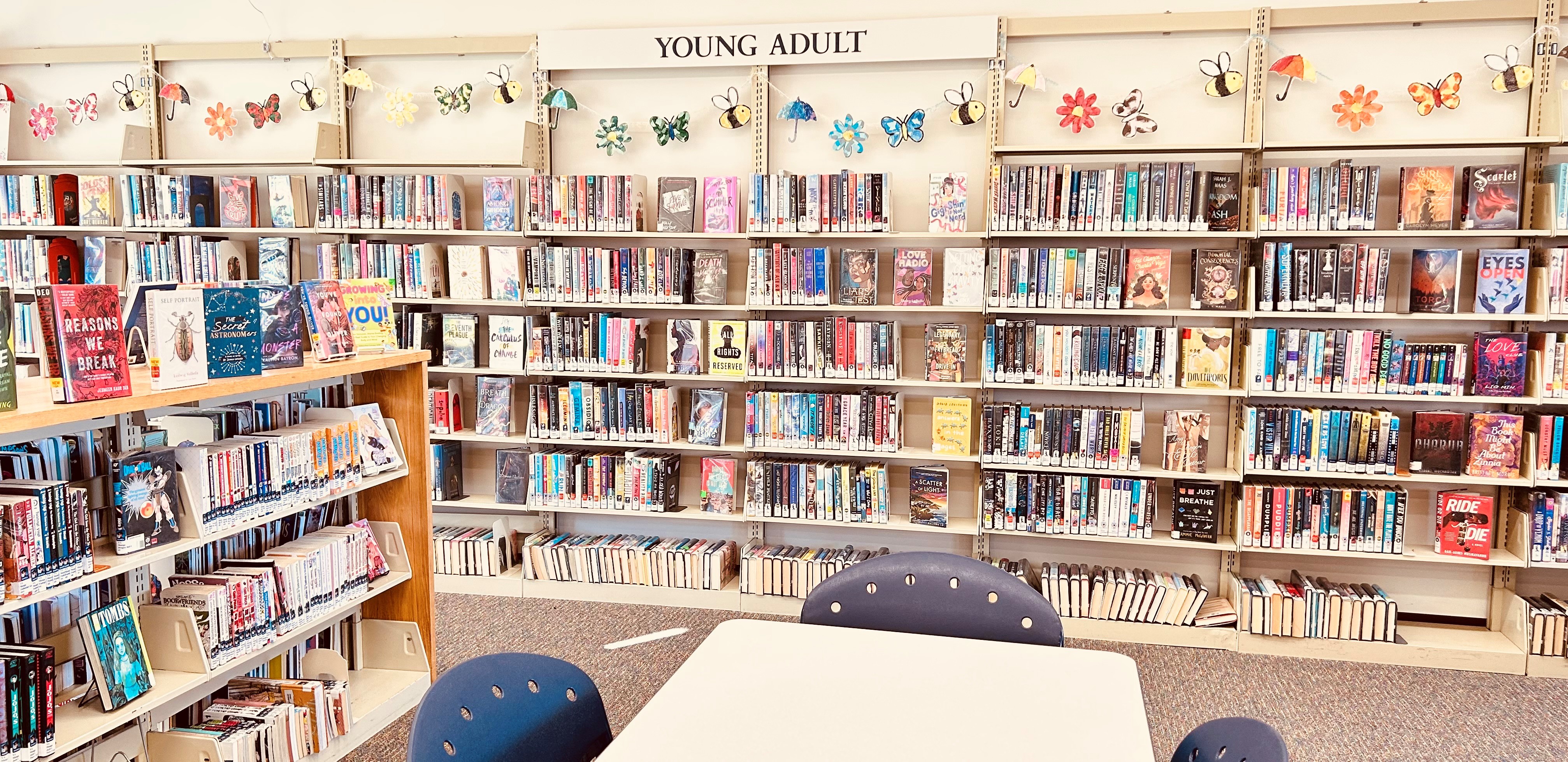 YA adult room, books