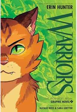 Warriors graphic novel book cover image