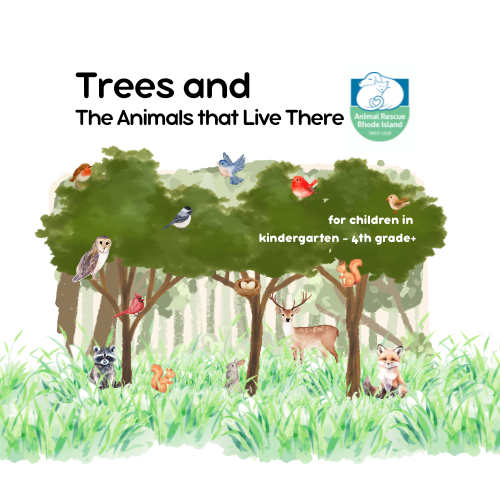 trees