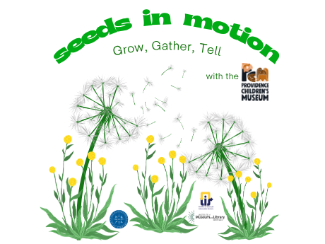 seeds in motion