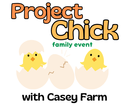 project chick