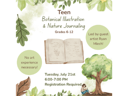 botanical illustration